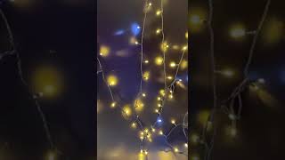 イルミネーション ライト 屋外 丸型LED 360度 クリスマス ストレート 100球 10m 最大1000球 屋外 コンセント 防雨 防水 連結可 ツリー 飾り付け 高輝度装飾