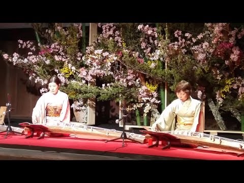 Video: Cel mai bun moment pentru a vizita Japonia