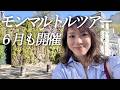 【📢モンマルトル散策&つまみ食いツアー6月も開催🇫🇷日程追加しました】
