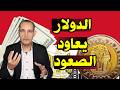 الدولار يعاود الارتفاع فى البنوك أسباب تراجع قيمة الجنيه المصري مقابل الدولار الدولار يعاود الارتفاع فى البنوك أسباب تراجع قيمة الجنيه المصري مقابل الدولار