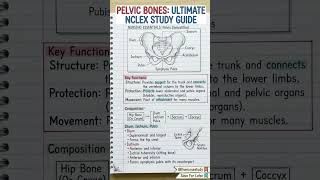 NCLEX Pelvis guide #bscnursing #gnm #motivation #nursestudy #viralnow #trendingnotes #obgyn #aiims