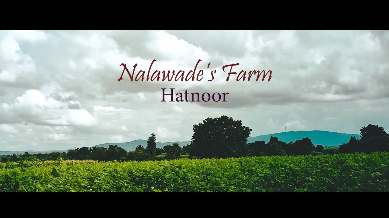 Farm Like Heaven | Cinematic Vlog | Nalawade's Farm, Hatnoor |