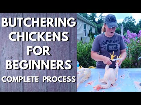 Butchering Chickens For Beginners 🐔  The Complete Process From COOP to FREEZER