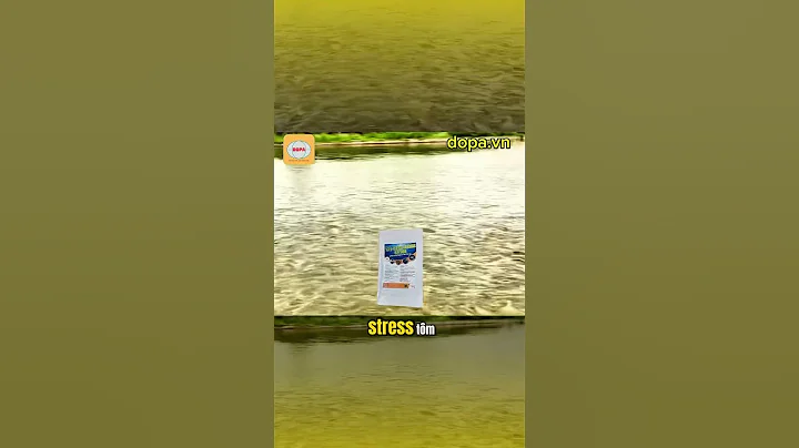 Chống stress cho thuỷ sản tôm cá – Giải pháp tối ưu từ chuyên gia #thuysandopa #fishing #dongdopa