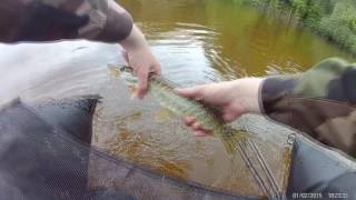 Pêche sur le cher en float tube le 19 05 2016