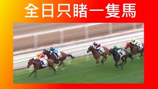 [香港賽馬貼士] 2024年5月26日 全日只睹一隻馬