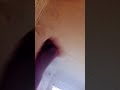 vo quebrar meu celular 📱 📱