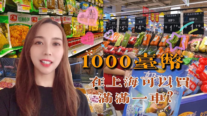 在上海一线城市的超市，1000块台币也可以买满满一车？实拍上海的物价！记录舒适假期里的小美好！ - 天天要闻