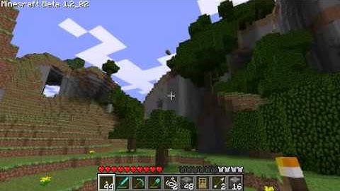 Minecraft