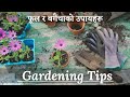 5 simple tips for gardening            