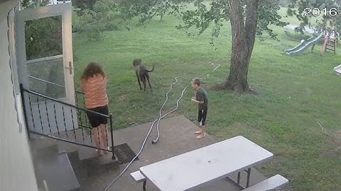 Surveillance Video: Tree Falls On Young Girl During Storm