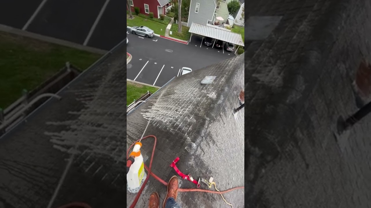 Roof moss removal step two of several steps for a perfect job.