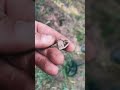 Знайшов металошукачем дрейдл! #Shorts