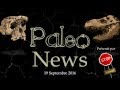 Paléonews 3- Homo, Lucy, Angeac et le plus vieux fossile du monde