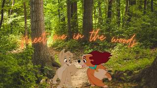 meet me in the woods | complete animash mep