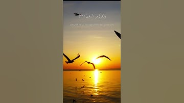 وإذ قال إبراهيم لأبيه آزر °°°°°° سورة الأنعام 74---76 🤍🤍 #سورة_الأنعام #راحة_نفسية #قرآن #ارح_سمعك