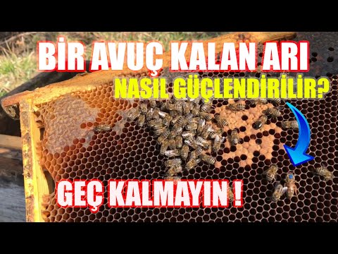 Video: Evin eski temeli nasıl güçlendirilir? Eski bir evin temelini kendi ellerinizle nasıl güçlendirirsiniz?