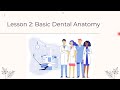 Dentistry101 - Lesson 2- Medical101