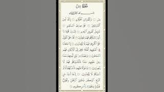 Surah Yaseen the Quran Heart#surahyasin#surahyaseenshorts#surahyaseentilawat