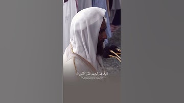 قراءة خاشة /الشيخ احمد بن طالب سورة المطففين #الحرم_النبوي #أحمد_بن_طالب #سورة_المطففين