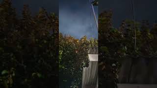 Fallen Kingdom X Rain Gustixa