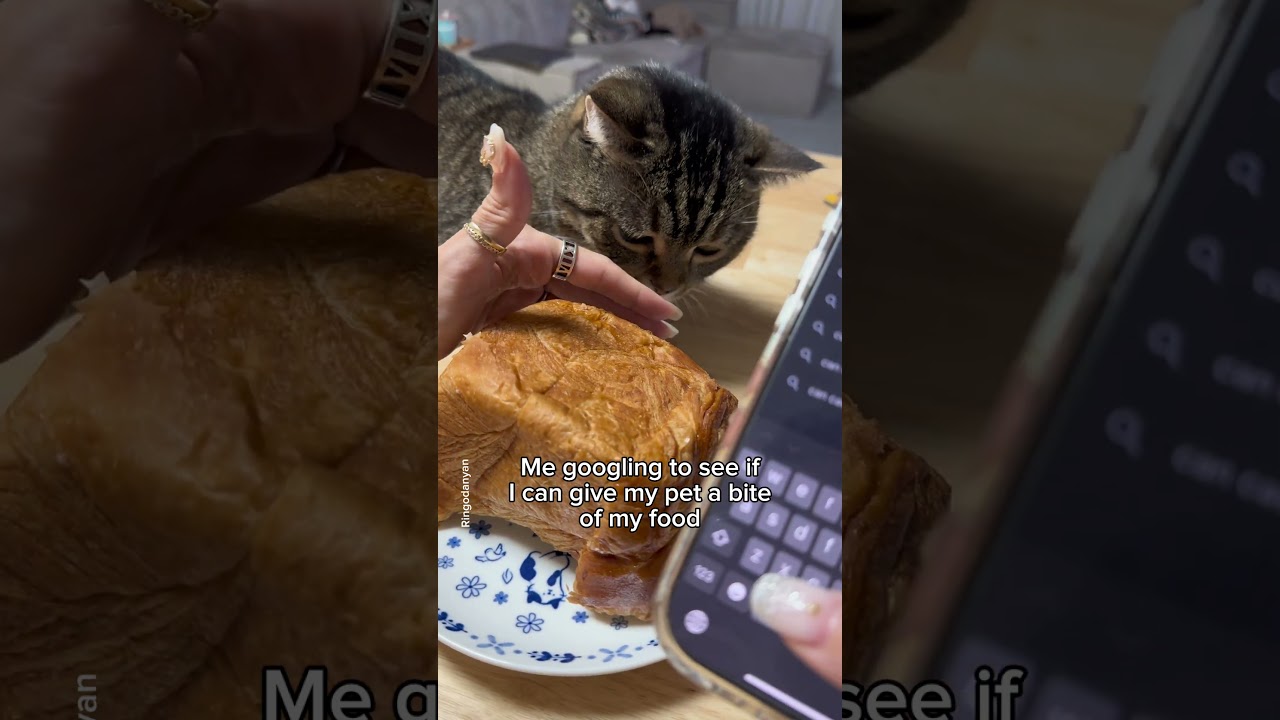 When I want to share my food with my cat😋 