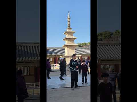 경주 불국사 다보탑 금관 천마총 가을 단풍 #경주