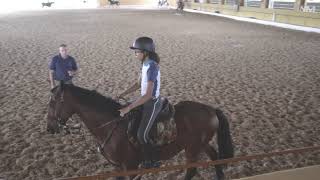 AULA EQUESTRE - COMO RECUAR O CAVALO