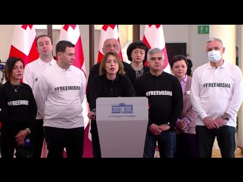 თქვენ გეშინიათ ოპოზიციის! მოგიწოდებთ, ეს უსუსური ნაბიჯი არ გადადგათ - ნაცმოძრაობის ბრიფინგი