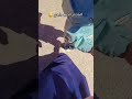 كملت تراند مع وليدي