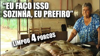 LIDA DE PORCO | LIMPOU SOZINHA 4 PORCOS