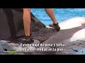 Esta es la historia de Keiko, la orca de Free Willy