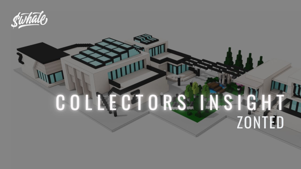 NFT Collector's Insight w/ Annissa & Zonted