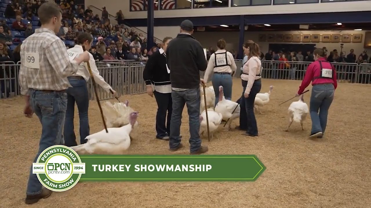 Мастерство демонстрации индеек | Сельскохозяйственная выставка в Пенсильвании 2026