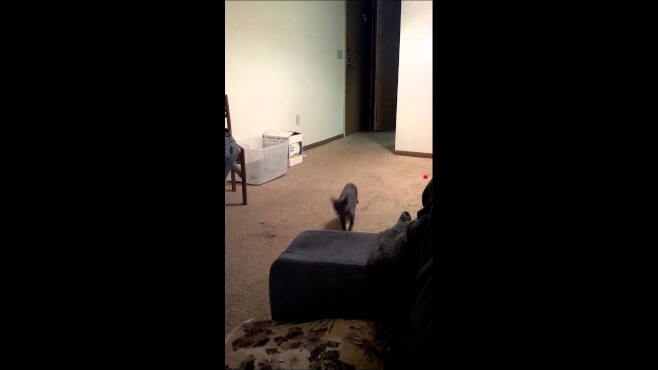 VID 20150218 225552 795