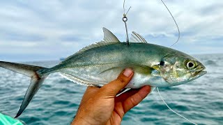 PESCANDO con CARNADA VIVA en MAR ABIERTO.