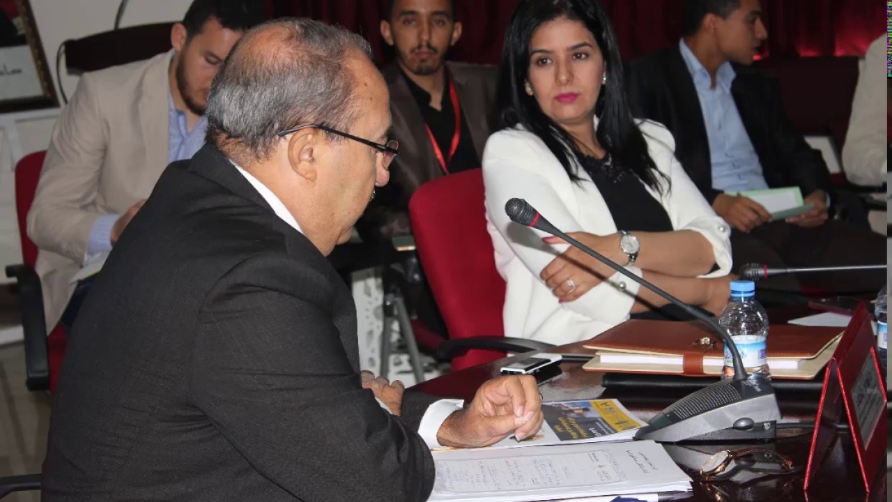 الأدوار المطلوبة من القضاء الدستوري في إقرار دولة القانون وحماية الحقوق الاساسية ، د. امحمد مالكي