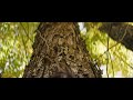 ClimeCo | CNX | Preserving Appalachia