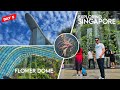 Day 5 in Singapore ✈️🤍|| Exploring the most famous places🪴🍄|| #singapore #vlog #youtube