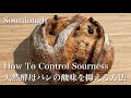 SUB) 天然酵母パン・サワードウブレッドの酸味を抑える (または増やす) 方法 / How To Make Sourdough Starter & Bread Less (More) Sour