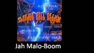 Jah Malo Boom Thunder Ball Riddim