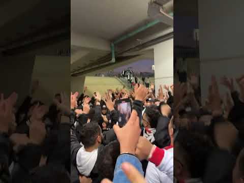 جديد مع الوايت نايتس ممتعة بعشق الزمالك و ألف وراه الكون هفضل أحبه بجنون من صغري معاه بفرح وياه