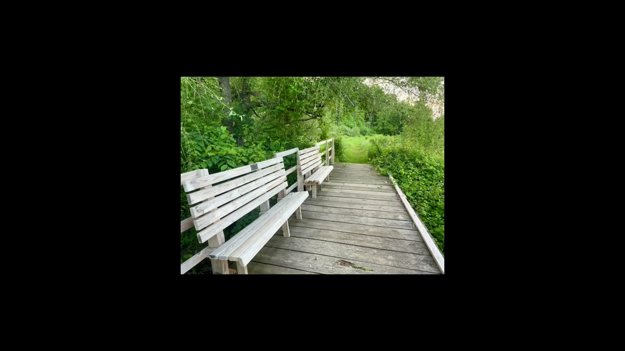 A Hike in the Normans Kill Preserve