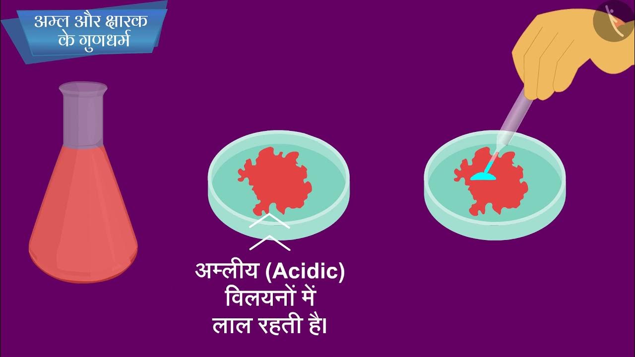 अम्ल और क्षारक के गुणधर्मPart 1/1Chemical Properties of Acids and