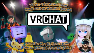 Pico Motion Tracker in VRCHAT mit Pico Connect