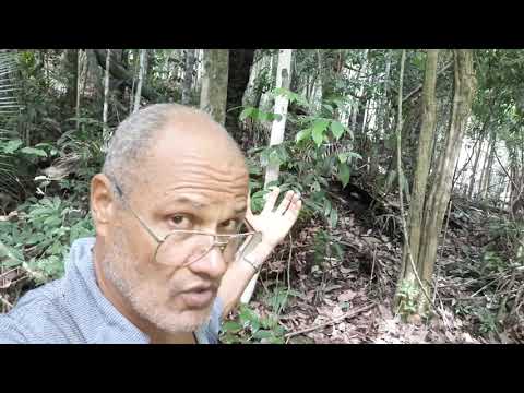 Nascer uma Nascentes, Vertentes, Minas e Fontes d&#39;água e muito simples e plástico!