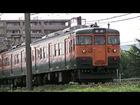 115系新潟L6(湘南色)編成　信越本線下り429M