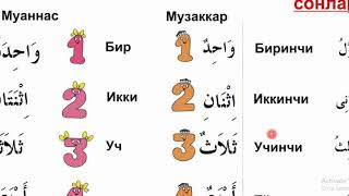 Katta kokrakli kotiblarning porno fotosuratlari Semiz ayollarning qin