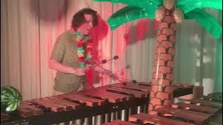 Watermelon Sugar - Harry Styles / Marimba Cover