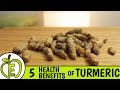 Top 5 Health Benefits of Turmeric